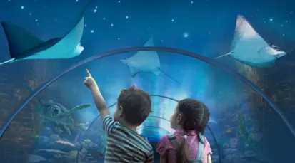 Acquario di Livorno Tickets