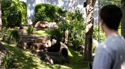 Adelaide Zoo Tickets