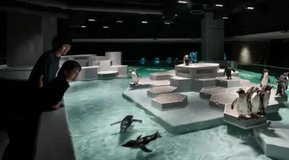 AOAO SAPPORO Tickets