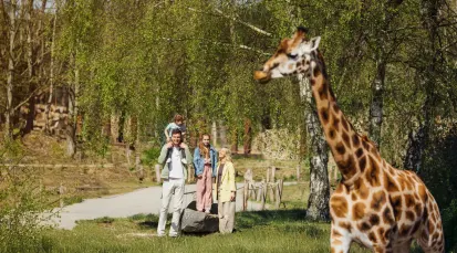 Safaripark Beekse Bergen Tickets