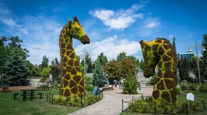 Wilder Institute Calgary Zoo Tickets