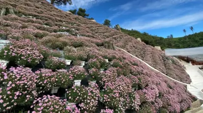 Cameron Highlands Flora Park Tickets