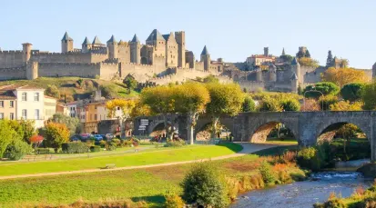 Cité de Carcassonne Tickets