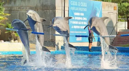 Zoo Aquarium de Madrid Tickets