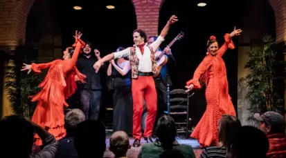 Flamenco Dance Museum Tickets