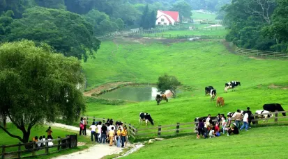 Flying Cow Ranch Tickets