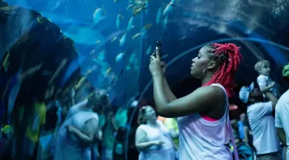 Georgia Aquarium Tickets