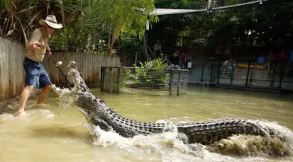 Hartley's Crocodile Adventures Tickets
