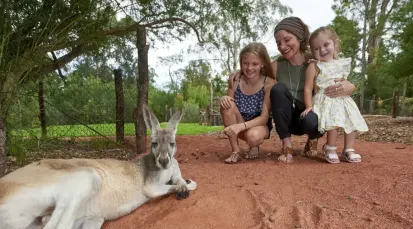 Healesville Sanctuary Tickets