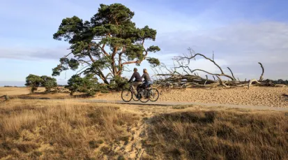 Het Nationale Park De Hoge Veluwe Tickets