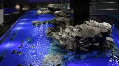 Sumida Aquarium Tickets