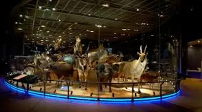 National Museum of Nature and Science Tickets