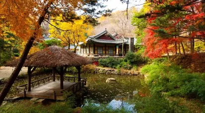 Korean Folk Village Tour