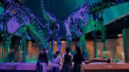 Lee Kong Chian Natural History Museum Tickets