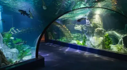 Lotte World Aquarium Tickets