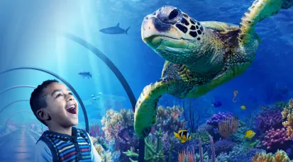 SEA LIFE at Mall of America Tickets