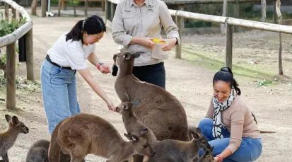 Moonlit Sanctuary Wildlife Conservation Park Tickets