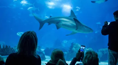 Oceanário de Lisboa Tickets