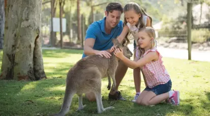 Paradise Country Tickets