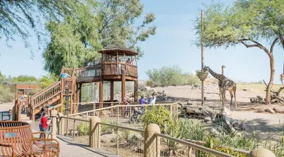 Phoenix Zoo Tickets - Phoenix