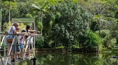Rainforestation Nature Park Tickets