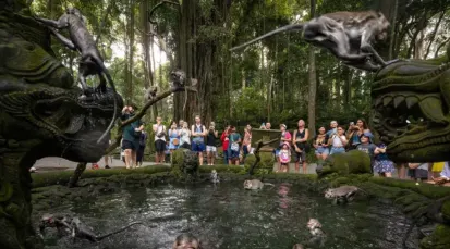 Sacred Monkey Forest Sanctuary Tickets