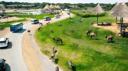 Safari World Bangkok Tickets