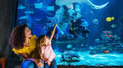 SEA LIFE Grapevine Aquarium Tickets