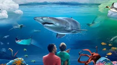 SEA LIFE Kelly Tarlton's Aquarium Auckland Tickets