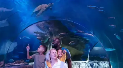 SEA LIFE Grapevine Aquarium Tickets - Dallas