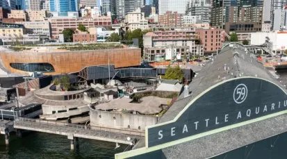 Seattle Aquarium Tickets - Seattle