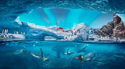 SeaWorld Abu Dhabi Tickets - Abu Dhabi