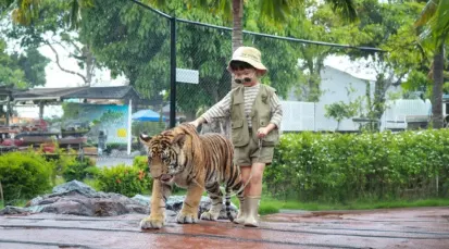 Sriayuthaya Lion Park Tickets