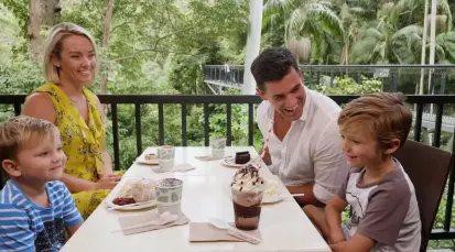 Tamborine Rainforest Skywalk Tickets - Gold Coast