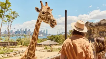 Taronga Zoo Sydney Tickets