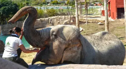 Terra Natura Tickets