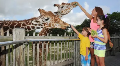 Zoo Miami Tickets