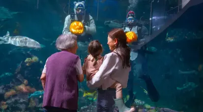 Vancouver Aquarium Tickets