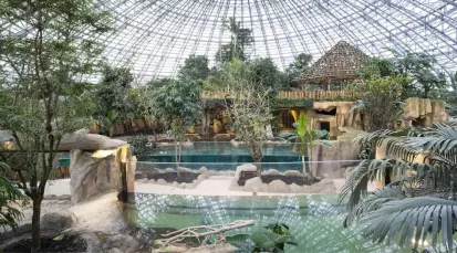 Zooparc de Beauval Tickets