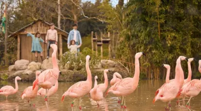 ZooParc Tickets - Overloon