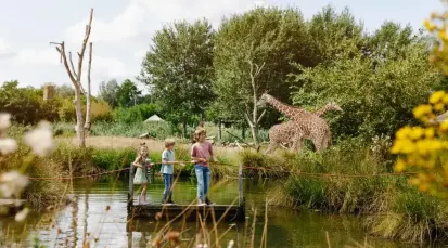 ZooParc Tickets