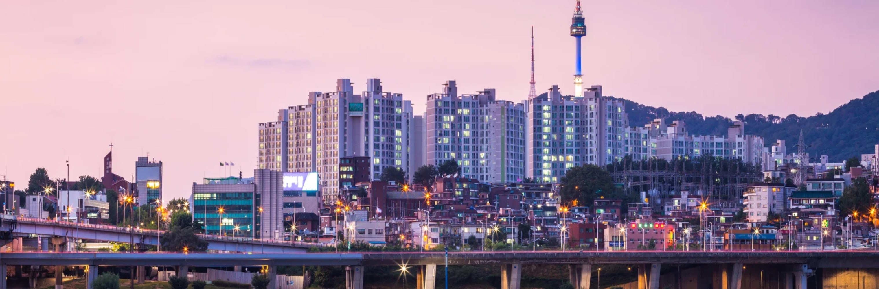City View of Seoul South Korea