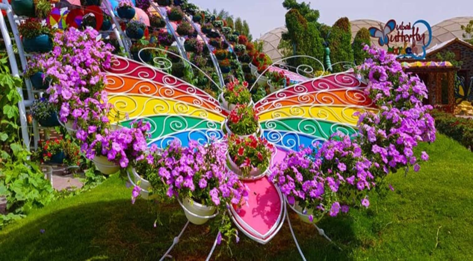 Dubai Butterfly Garden Tickets 2022 Book TicketsToDo Online