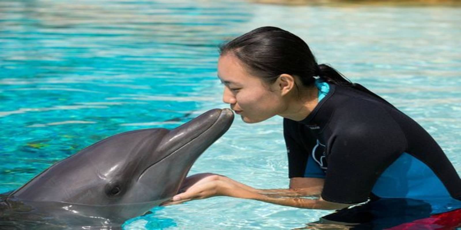 Dolphin Island Singapore Tickets 2022 Book TicketsToDo Online