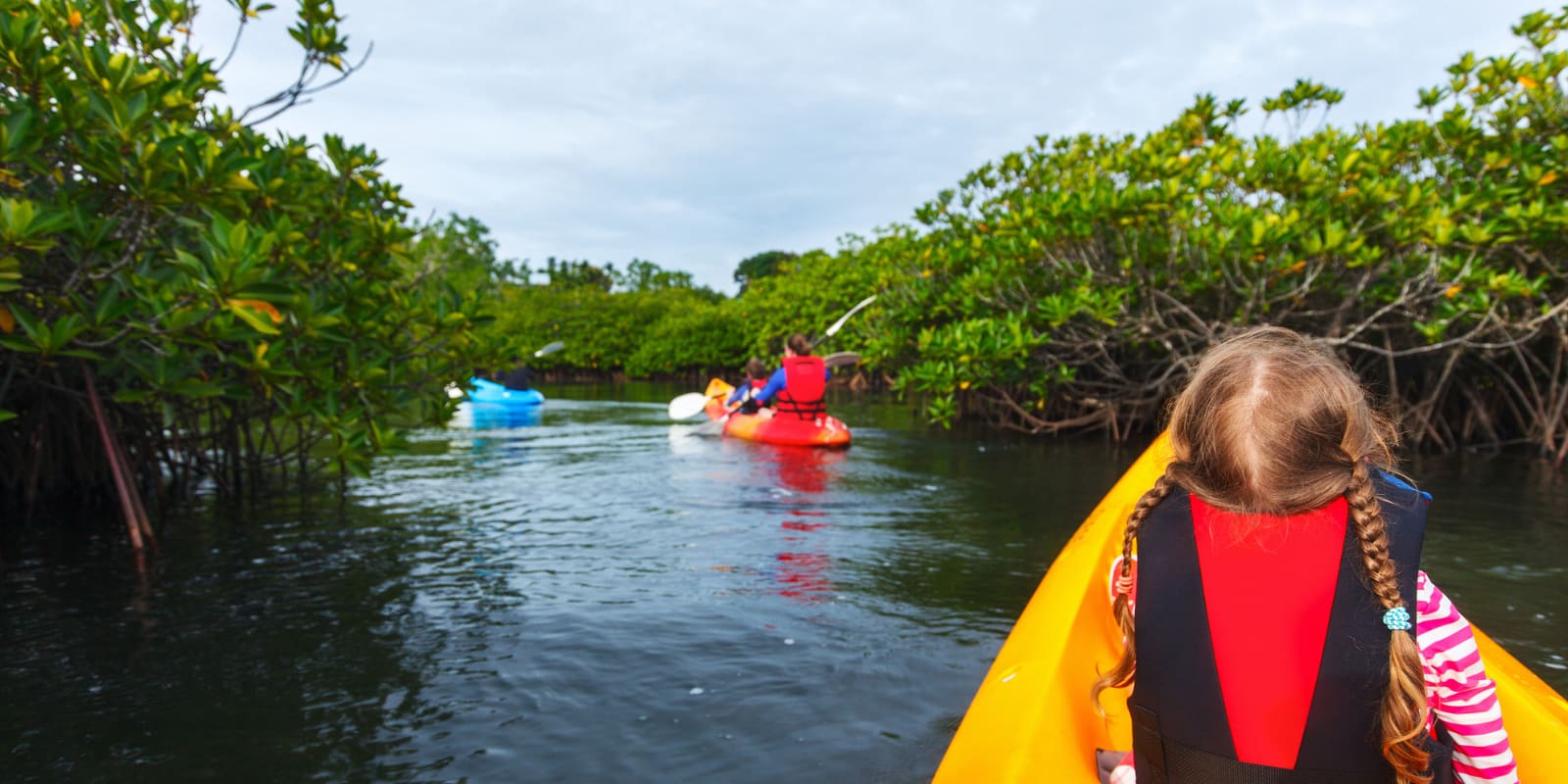 Qatar Mangroves Kayaking Tours
