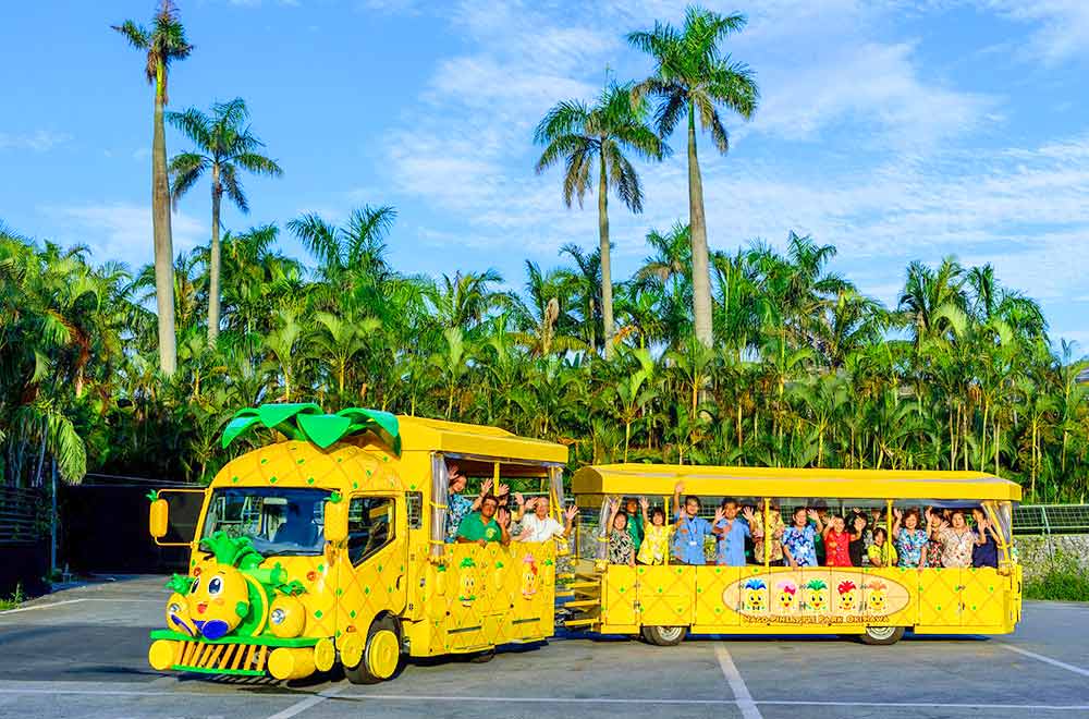 Nago Pineapple Park 2021 Book TicketsToDo Online