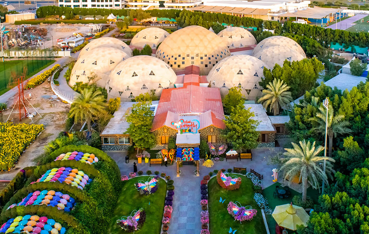  Dubai  Butterfly  Garden  2022 Book TicketsToDo Online