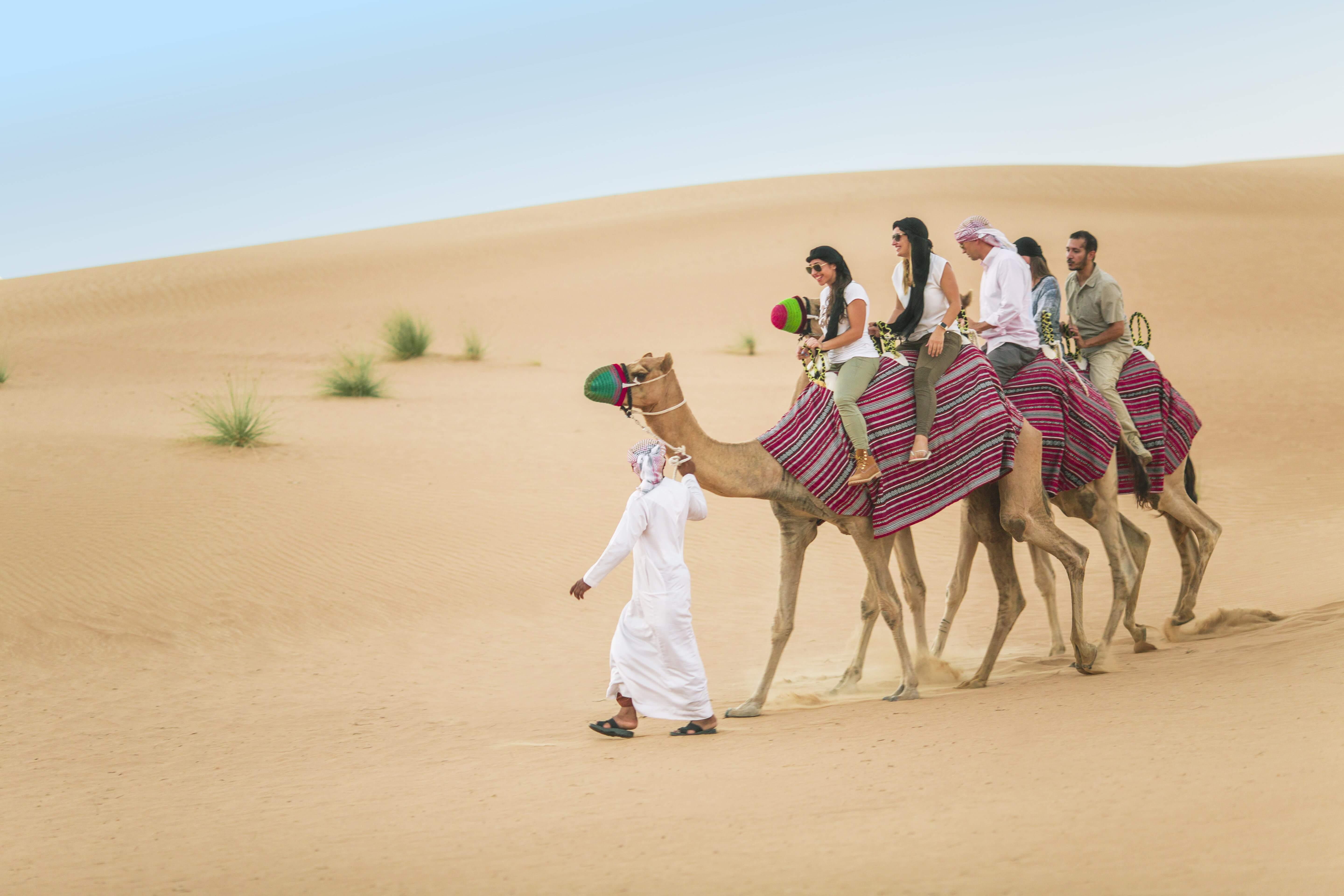 Dubai Desert Camel Safari 2021 Book TicketsToDo Online