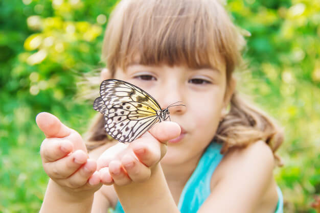 Dubai Butterfly Garden 2021 | Book TicketsToDo Online