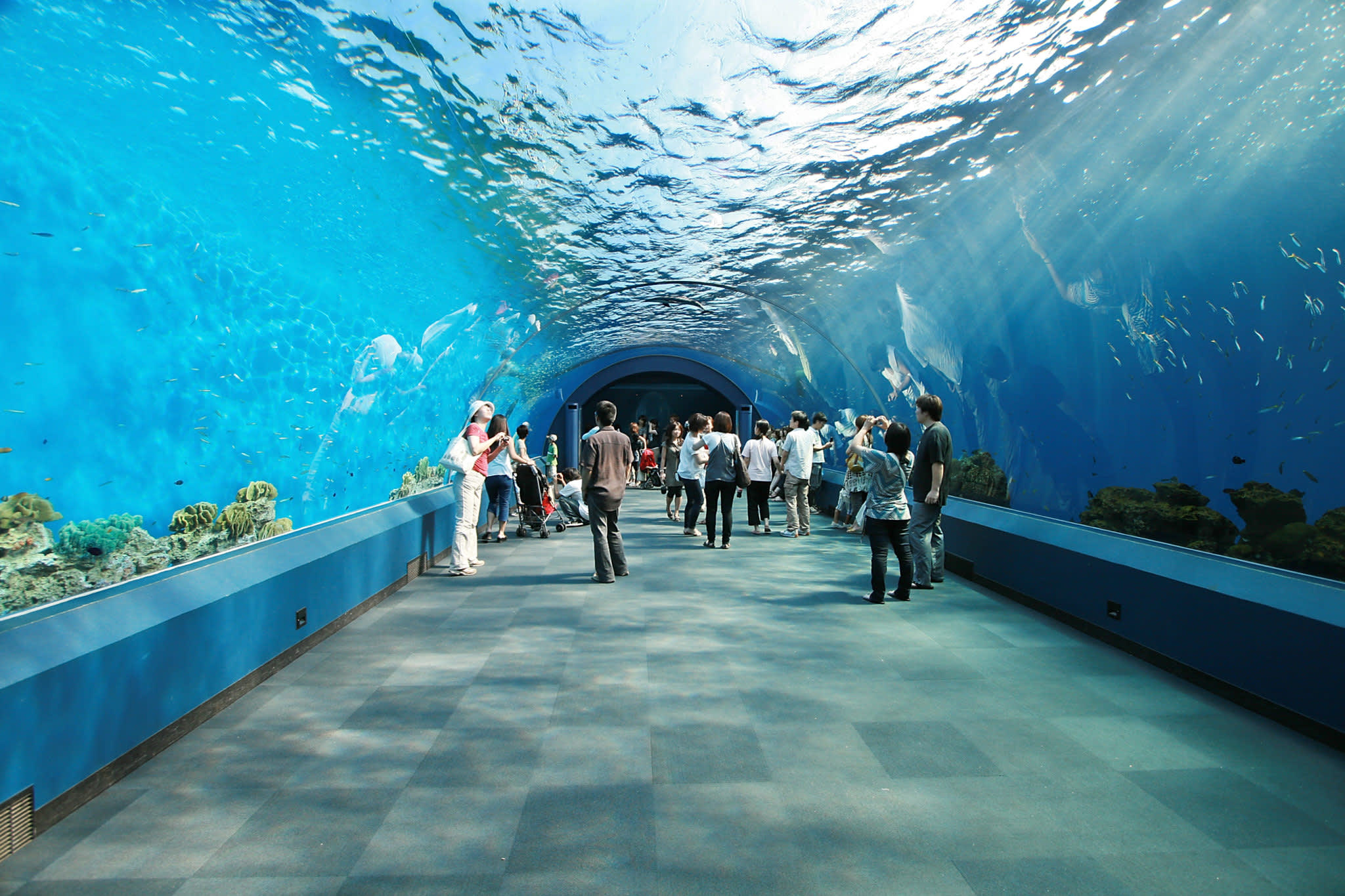 Aquaria phuket